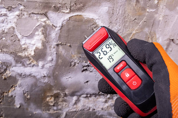 Best Attic Mold Removal  in Buhler, KS