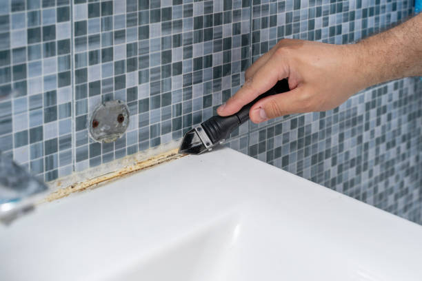 Best Fast Mold Removal  in Buhler, KS