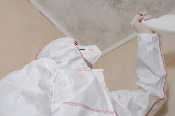Best Mold Damage Repair  in Buhler, KS